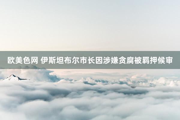欧美色网 伊斯坦布尔市长因涉嫌贪腐被羁押候审