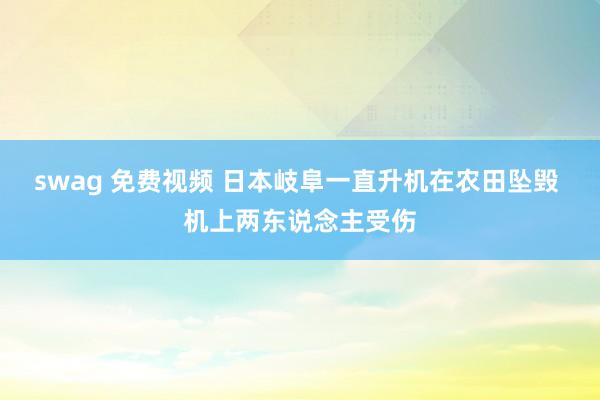 swag 免费视频 日本岐阜一直升机在农田坠毁 机上两东说念主受伤