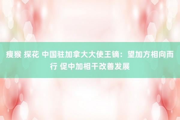 瘦猴 探花 中国驻加拿大大使王镝：望加方相向而行 促中加相干改善发展
