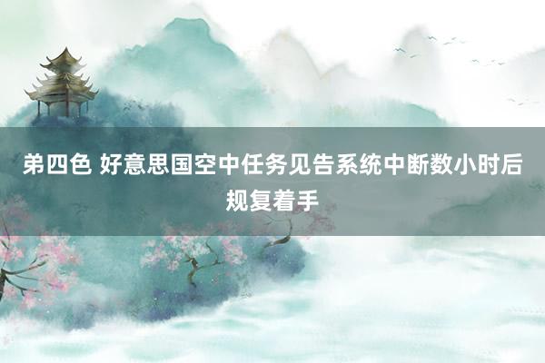 弟四色 好意思国空中任务见告系统中断数小时后规复着手