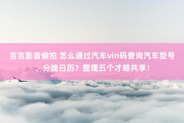 吉吉影音偷拍 怎么通过汽车vin码查询汽车型号、分娩日历？整理五个才略共享！