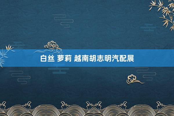 白丝 萝莉 越南胡志明汽配展