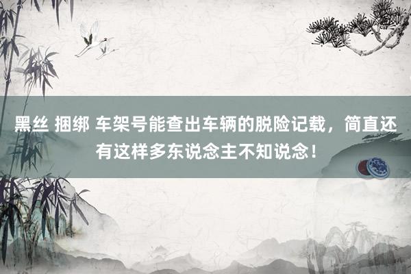 黑丝 捆绑 车架号能查出车辆的脱险记载，简直还有这样多东说念主不知说念！