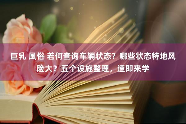 巨乳 風俗 若何查询车辆状态？哪些状态特地风险大？五个设施整理，速即来学