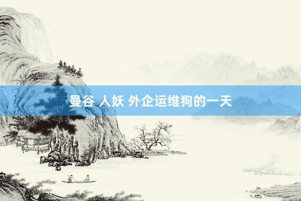 曼谷 人妖 外企运维狗的一天