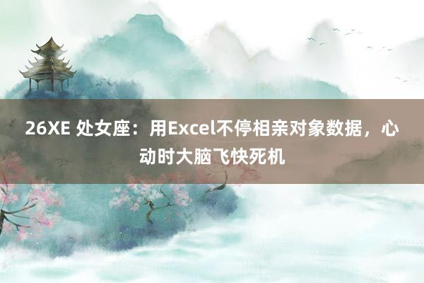 26XE 处女座：用Excel不停相亲对象数据，心动时大脑飞快死机