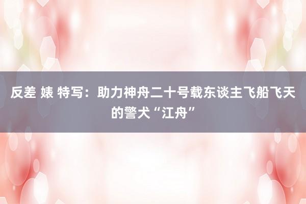 反差 婊 特写：助力神舟二十号载东谈主飞船飞天的警犬“江舟”