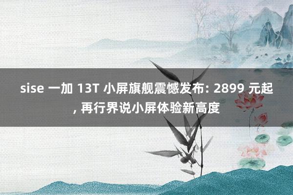 sise 一加 13T 小屏旗舰震憾发布: 2899 元起, 再行界说小屏体验新高度