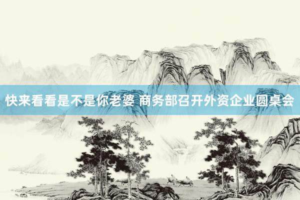 快来看看是不是你老婆 商务部召开外资企业圆桌会