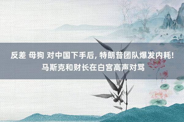 反差 母狗 对中国下手后, 特朗普团队爆发内耗! 马斯克和财长在白宫高声对骂