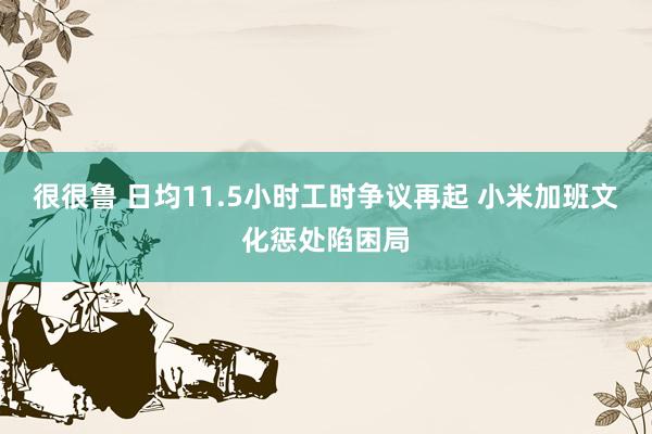 很很鲁 日均11.5小时工时争议再起 小米加班文化惩处陷困局