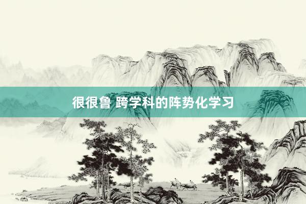 很很鲁 跨学科的阵势化学习